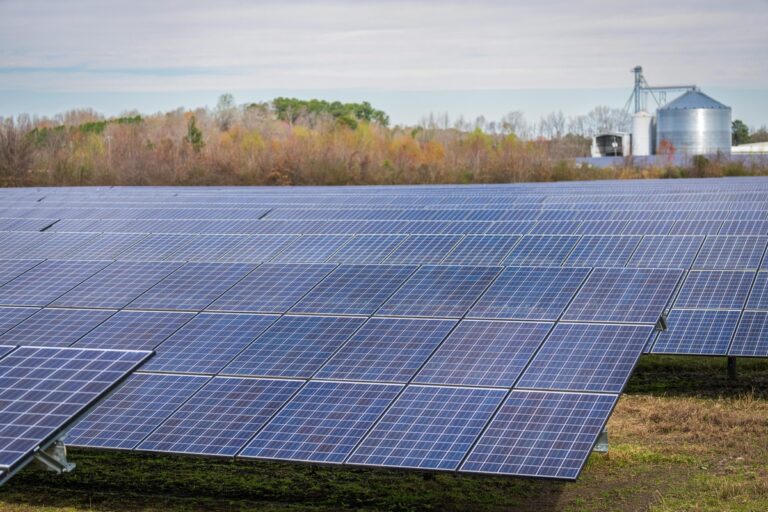 The Future of Solar Energy: Trends to Watch in 2025